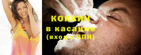 гидра Горнозаводск