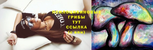 гидра Горнозаводск