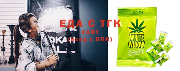 гидра Горнозаводск