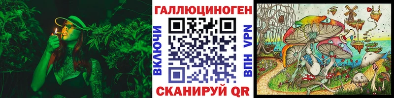 Псилоцибиновые грибы MAGIC MUSHROOMS  Купить где  Кингисепп 