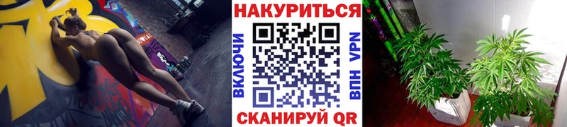 Купить где  Кингисепп  МАРИХУАНА марихуана 